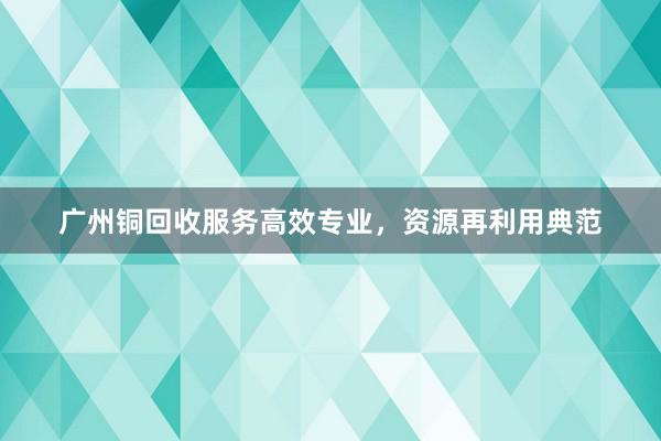 广州铜回收服务高效专业，资源再利用典范